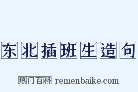 东北插班生造句是什么意思的图片